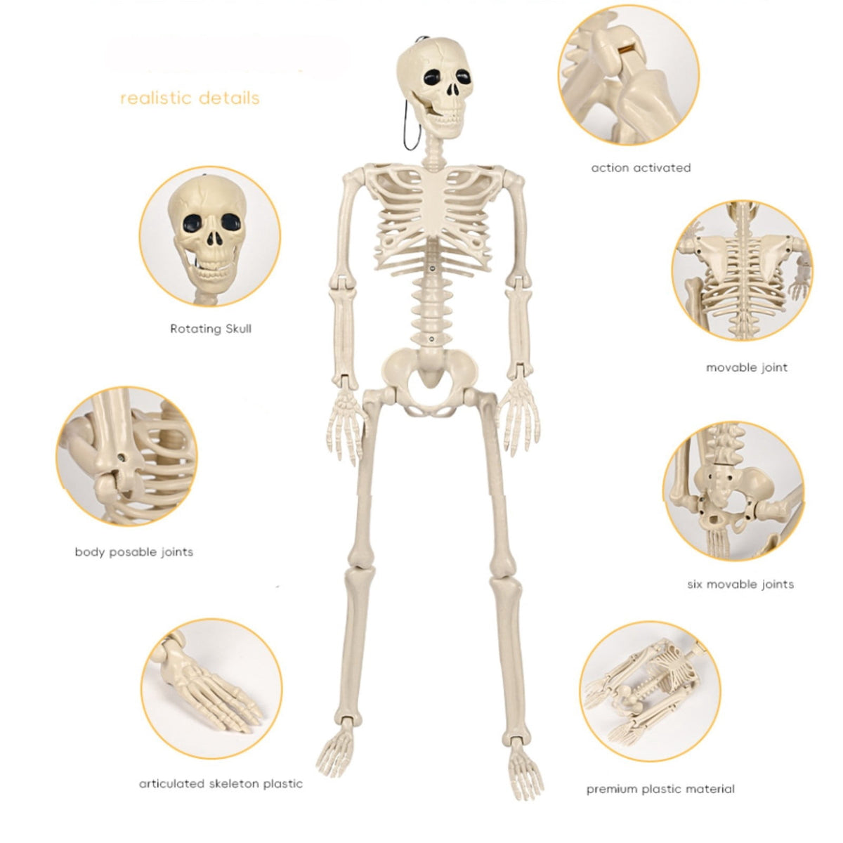 LmnLft Life Size Poseable Hanging Skeleton Decoration with Movable Joints, Full Body Halloween Prop for Indoor Outdoor Yard Party Displays