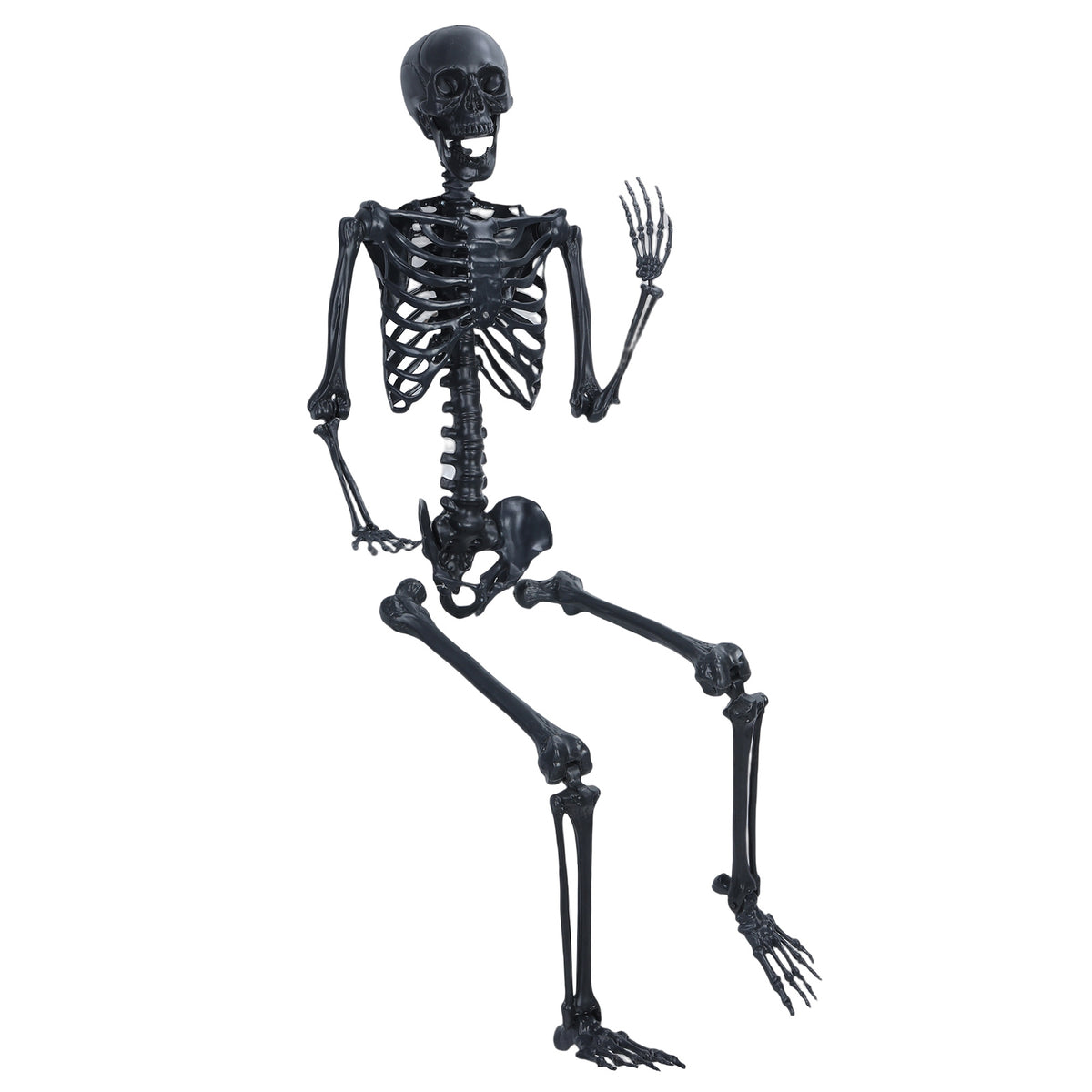 Cixusio 5.4Ft/165cm Halloween Skeleton Full Body Life Size Human Bones with Movable Joints for Indoor Outdoor Haunted House Party Halloween Props Decorations
