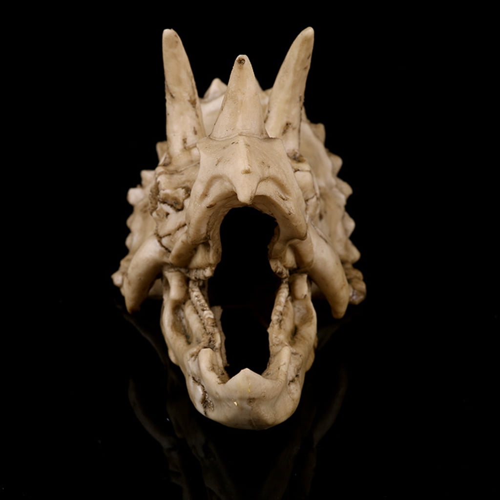 ZPAQI Triceratops Dinosaur Skull Resin Crafts Fossil Skeleton Teaching Model Halloween