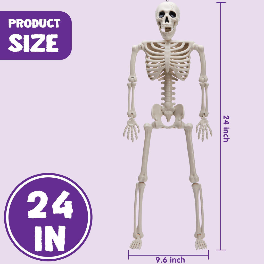 Joyfy 2 Pcs 24 Inch Halloween Skeleton Decor,2 FT Posable Skeleton Halloween Prop for Haunted House Indoor Outdoor Decoration Spooky Decor,Full Body with Movable Joints for Halloween Decoration