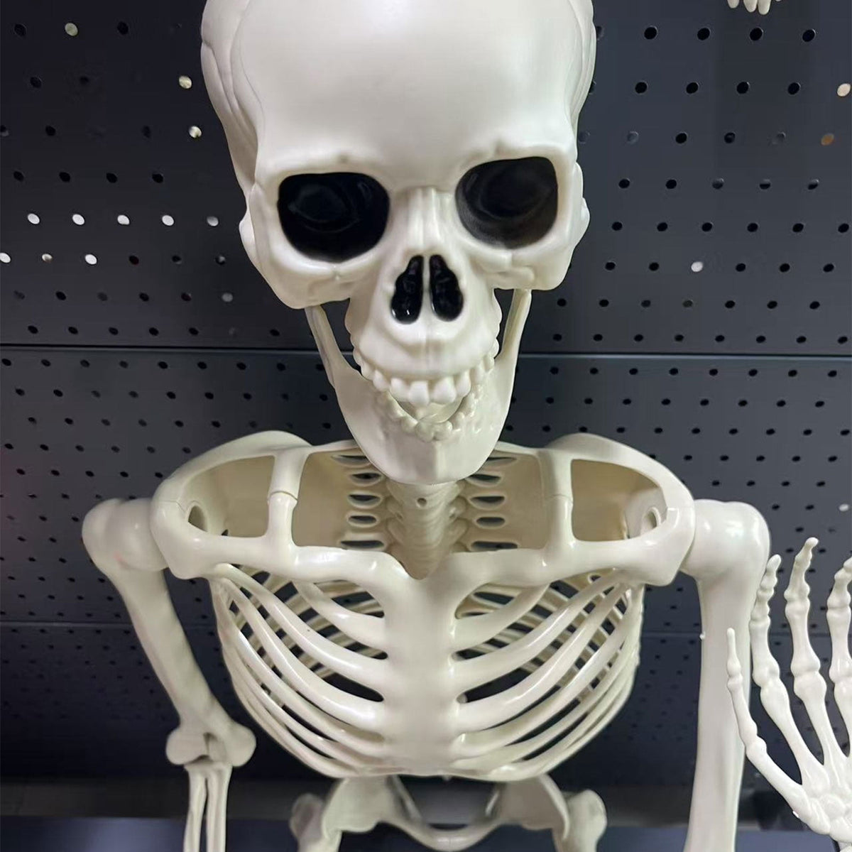 Poseable Halloween Skeleton with Flexible Joints, Sturdy Indoor/Outdoor Party Decor