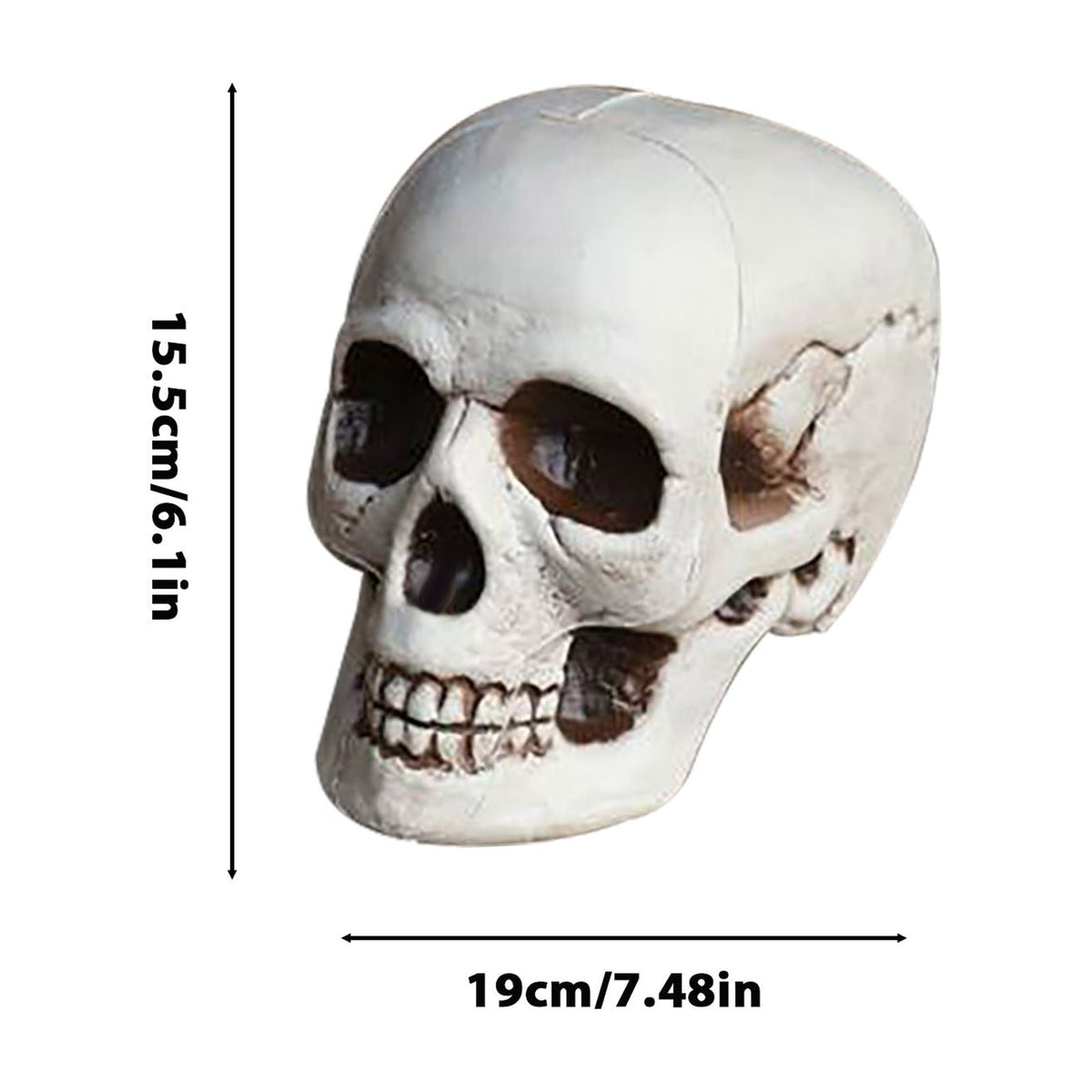 Darzheoy Halloween Skulls Halloween Skeletons Realistic Fake Simulation Human Skull Head Model Halloween Prop Realistic Mini Skeleton Spooky Halloween Decoration