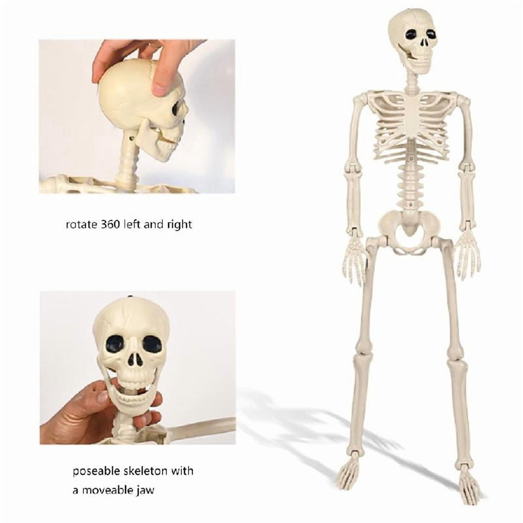Tizuqe Poseable Halloween Skeleton with Movable Joints Realistic Full Body Bone Ornament Eerie Outdoor and Indoor Decoration