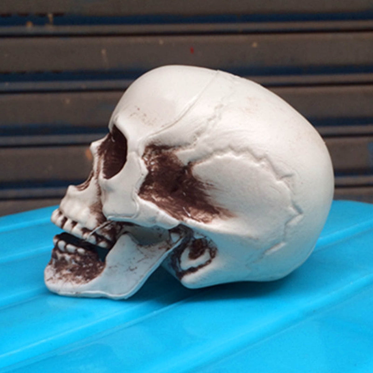 JoyMoreHome Halloween Skull Model Skeleton Halloween Outdoor Decoration Props Halloween Party Supplies