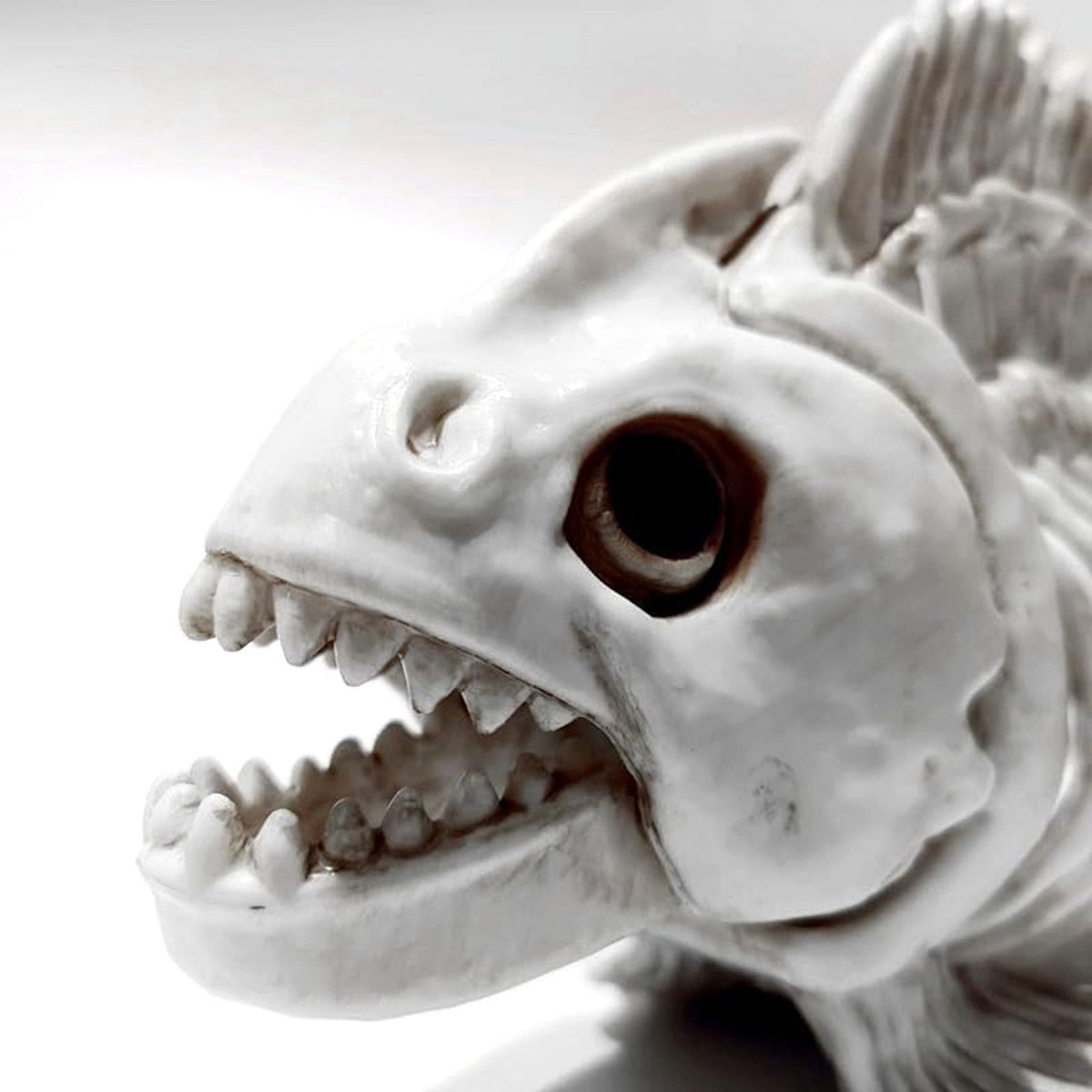 Skeleton Fish Halloween Decor Model, Animal Carp Skull Fishes Bone Art Ornaments, for Home Room B