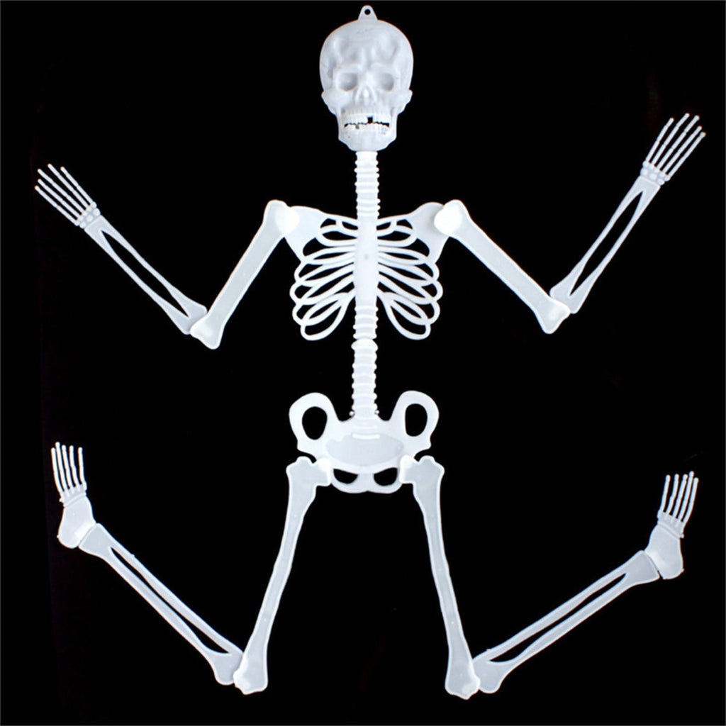 Darzheoy 35" Halloween Skeleton, Full Body Skeleton with Posable Movable Joints for Props Decorations