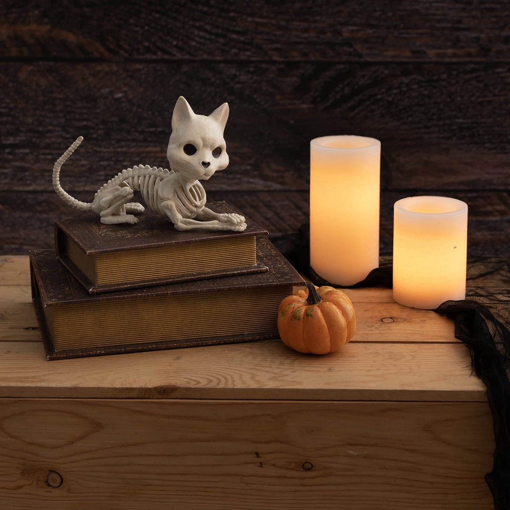 Faux Skeleton Cat Decoration, 5.1", Halloween by Way To Celebrate
