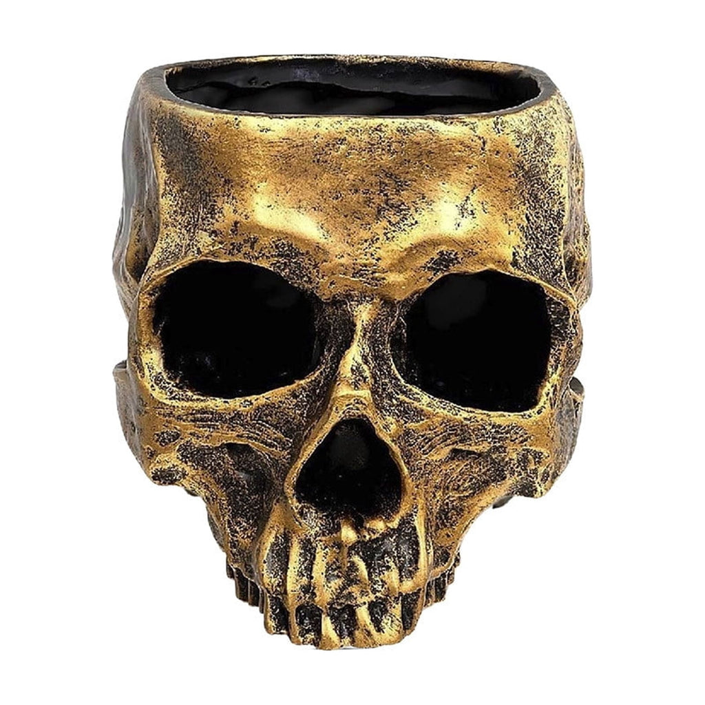 AuroraX Halloween Skeleton Head Plantser Halloween Resin Skull Flower Pot Indoor Spooky Cactus Candy Halloween Desk Decoration Black