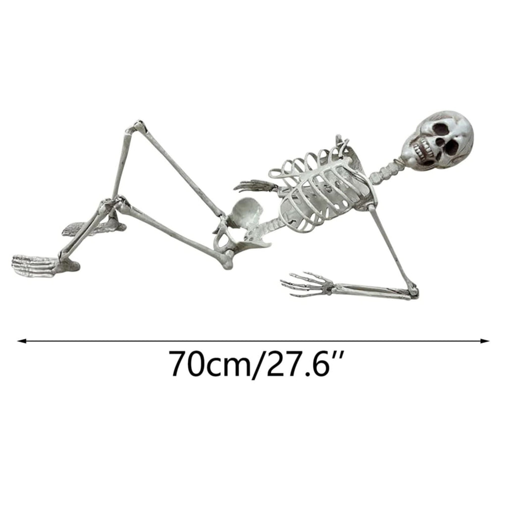 Life-Size Posable Halloween Skeleton - Realistic Human Skeleton with Movable Joints for Indoor/Outdoor Haunted House & Party Decor