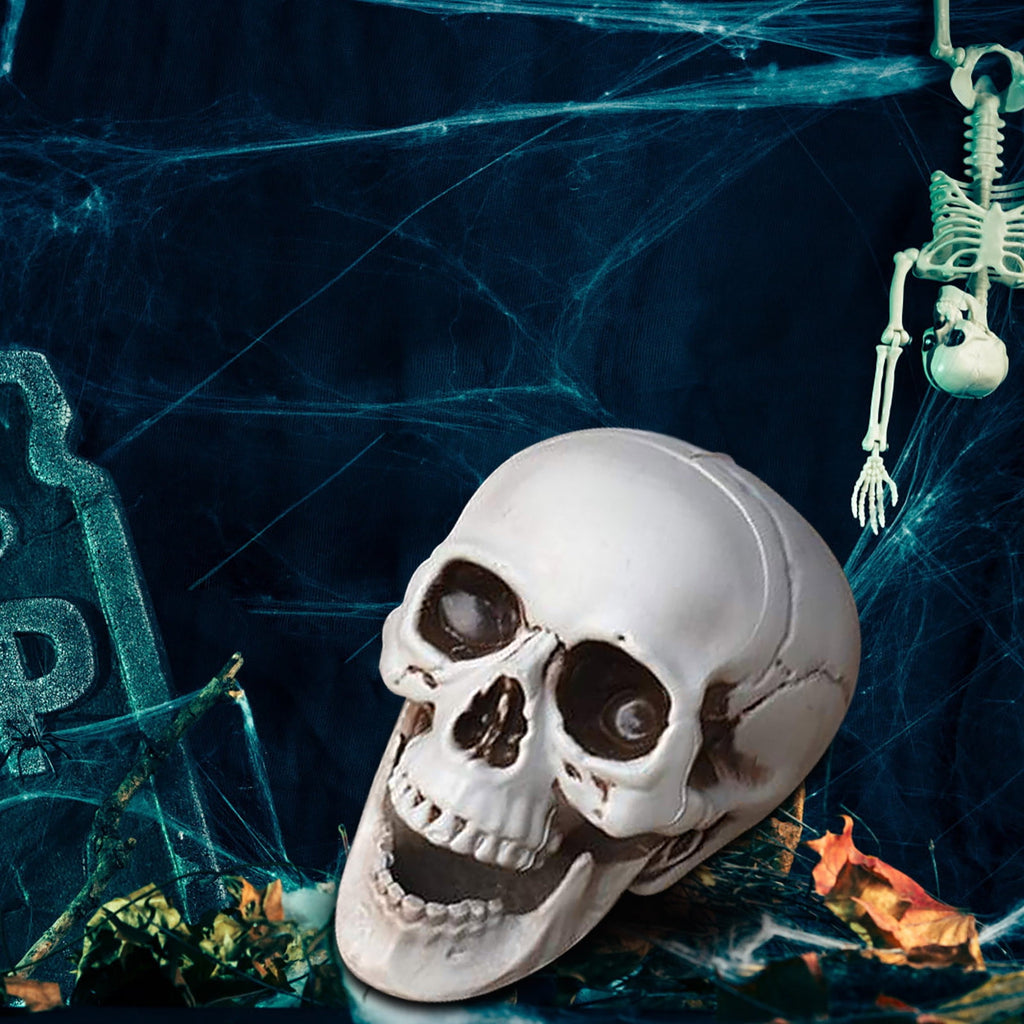 Darzheoy Halloween Skulls Halloween Skeletons Realistic Fake Simulation Human Skull Head Model Halloween Prop Realistic Mini Skeleton Spooky Halloween Decoration