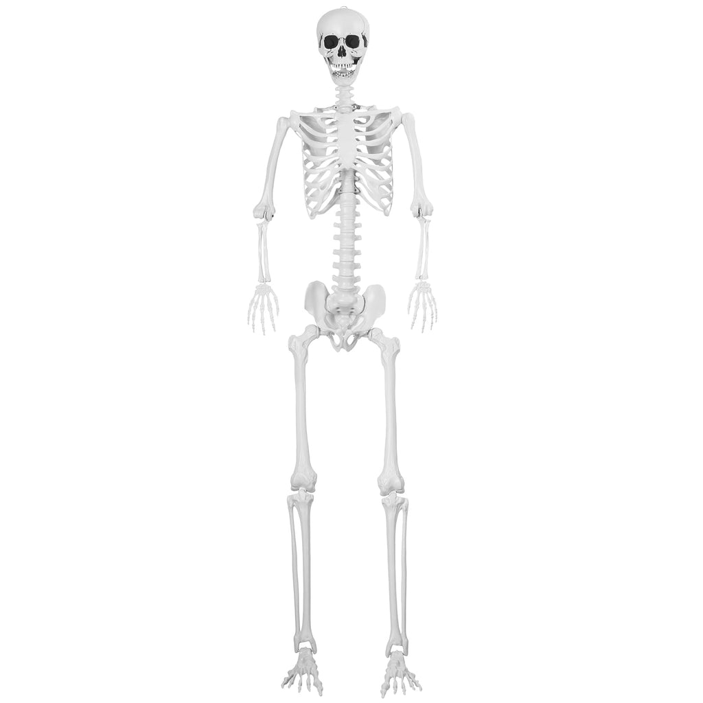 Cixusio 5.4Ft/165cm Halloween Skeleton Full Body Life Size Human Bones with Movable Joints for Indoor Outdoor Haunted House Party Halloween Props Decorations