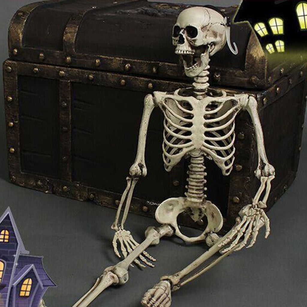 Poseable Halloween Skeleton with Flexible Joints, Sturdy Indoor/Outdoor Party Decor