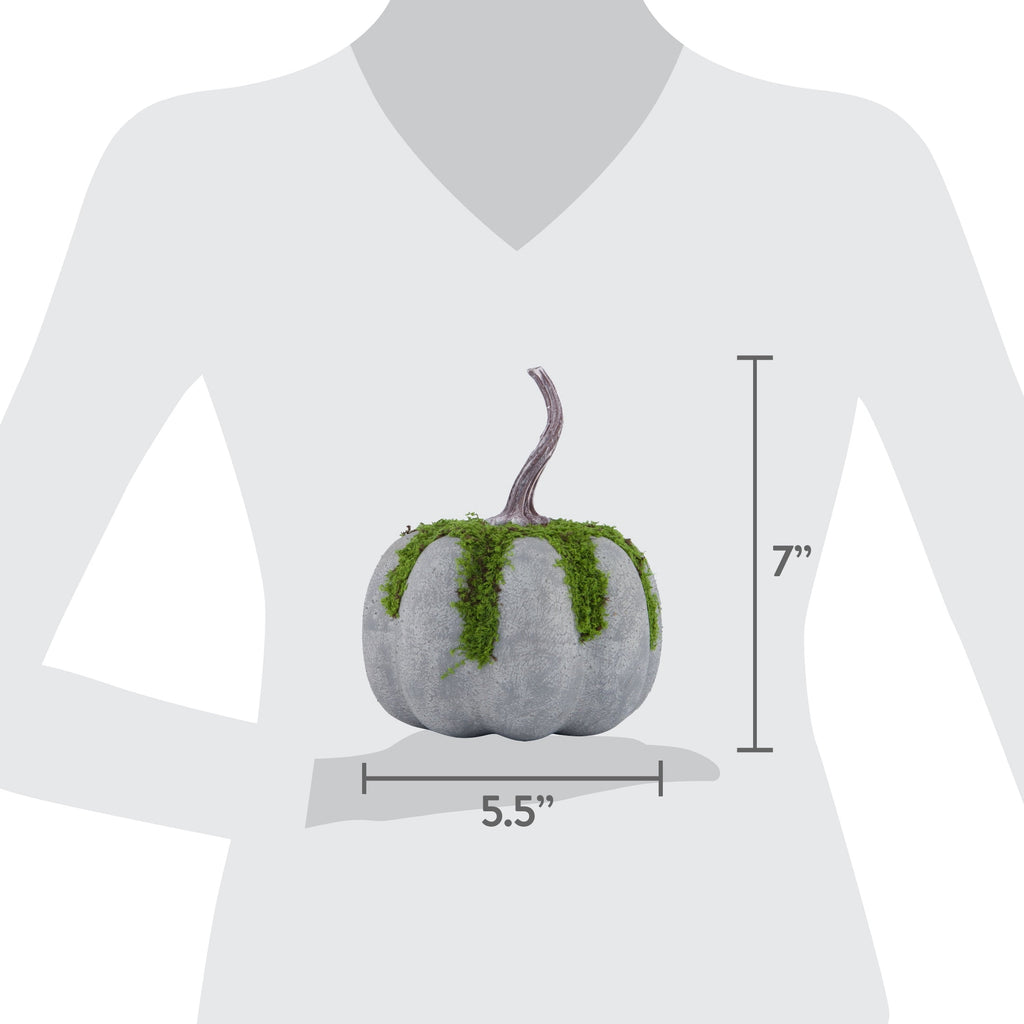 Mossy Pumpkin Decoration, Multicolor, 7.1", Halloween by Way To Celebrate