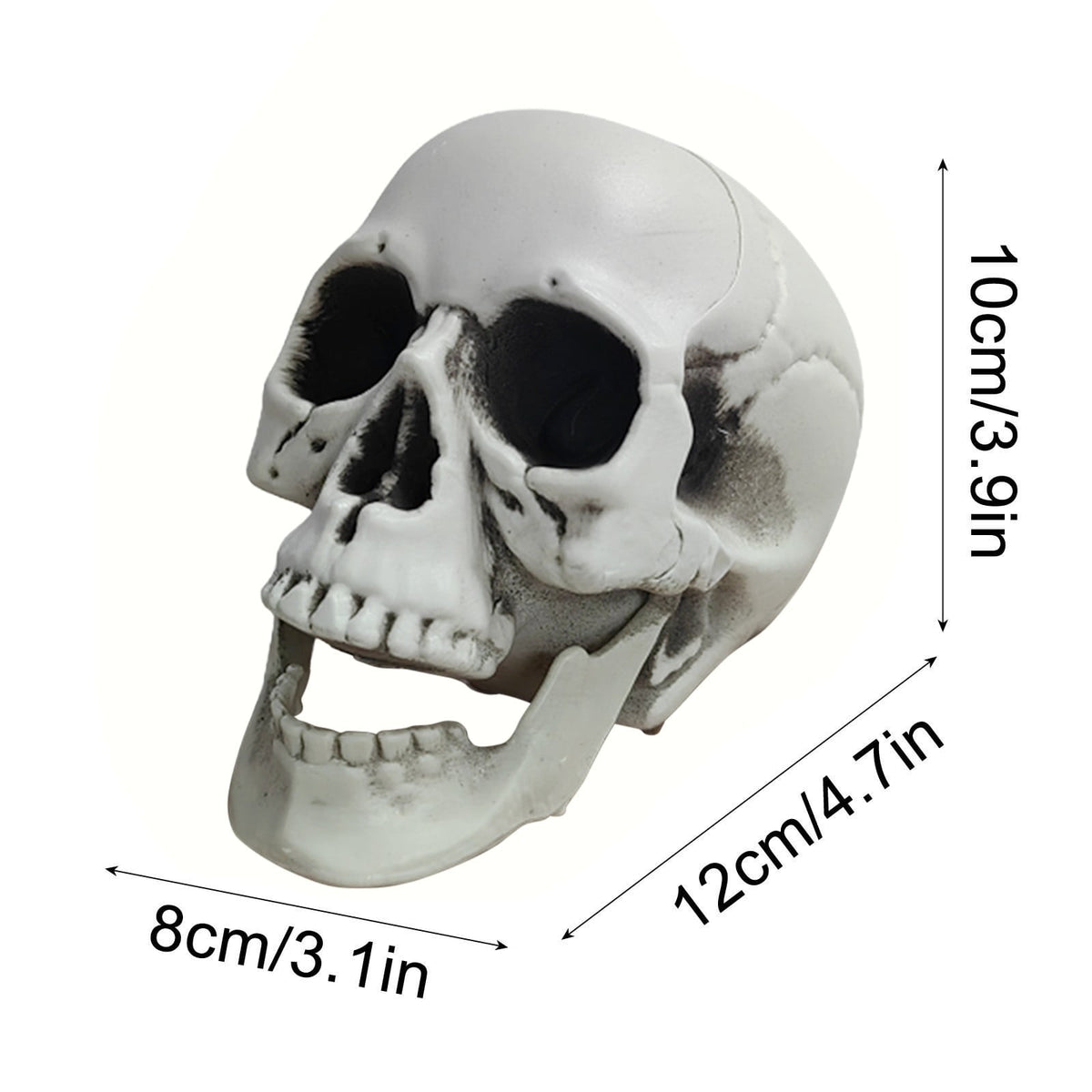 Darzheoy Halloween Skulls Halloween Skeletons Realistic Fake Simulation Human Skull Head Model Halloween Prop Realistic Mini Skeleton Spooky Halloween Decoration