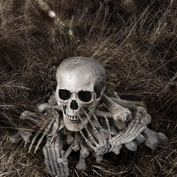 2025 Bag of Bones - 28 Pc Realistic Skeleton Bones & Skull Set for Halloween Decor (Lifesize Horror Props, DIY Party Scatter)