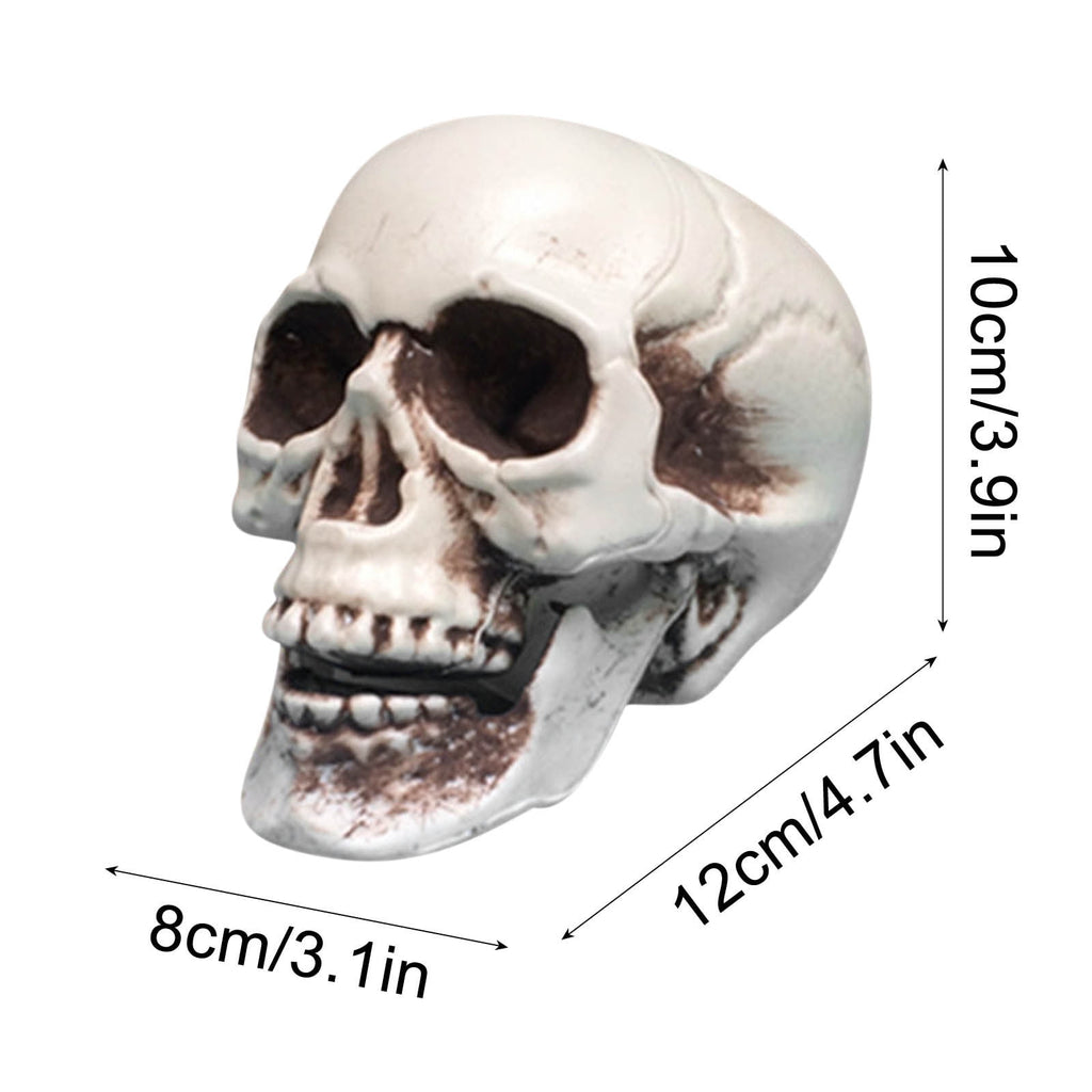 JoyMoreHome Halloween Skull Model Skeleton Halloween Outdoor Decoration Props Halloween Party Supplies