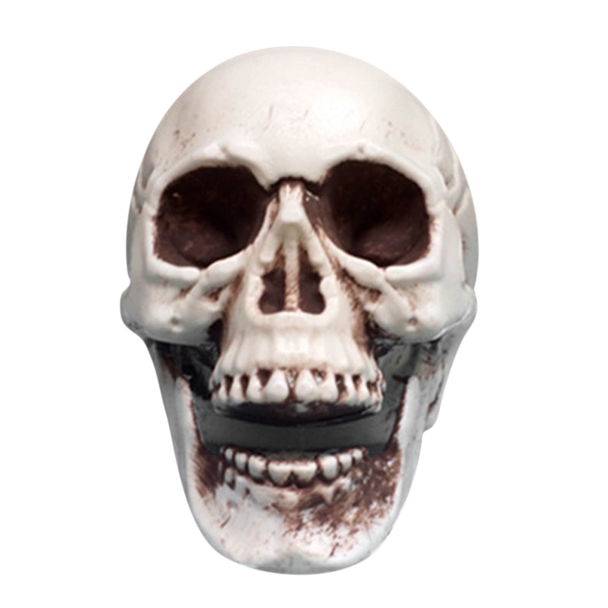 JoyMoreHome Halloween Skull Model Skeleton Halloween Outdoor Decoration Props Halloween Party Supplies