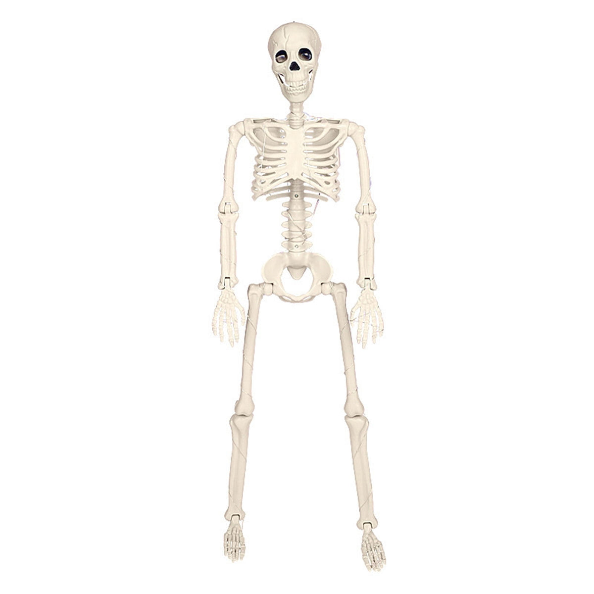 amlbb Halloween Decorations Indoor Outdoor Cow Skeleton, 2025 New Cow Skeleton Halloween Decoration, Cow Skeleton Halloween Decorative Prop Halloween on Clearance