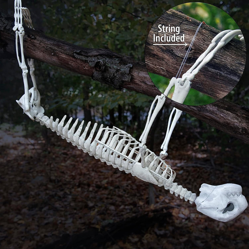 Halloween Sloth Skeleton (Giant 2 Ft Long) with Easy-To-Hang Limb Straps -Weather Resistant Yard, Lawn and Tree, Posable Indoor and Outdoor Party Prop