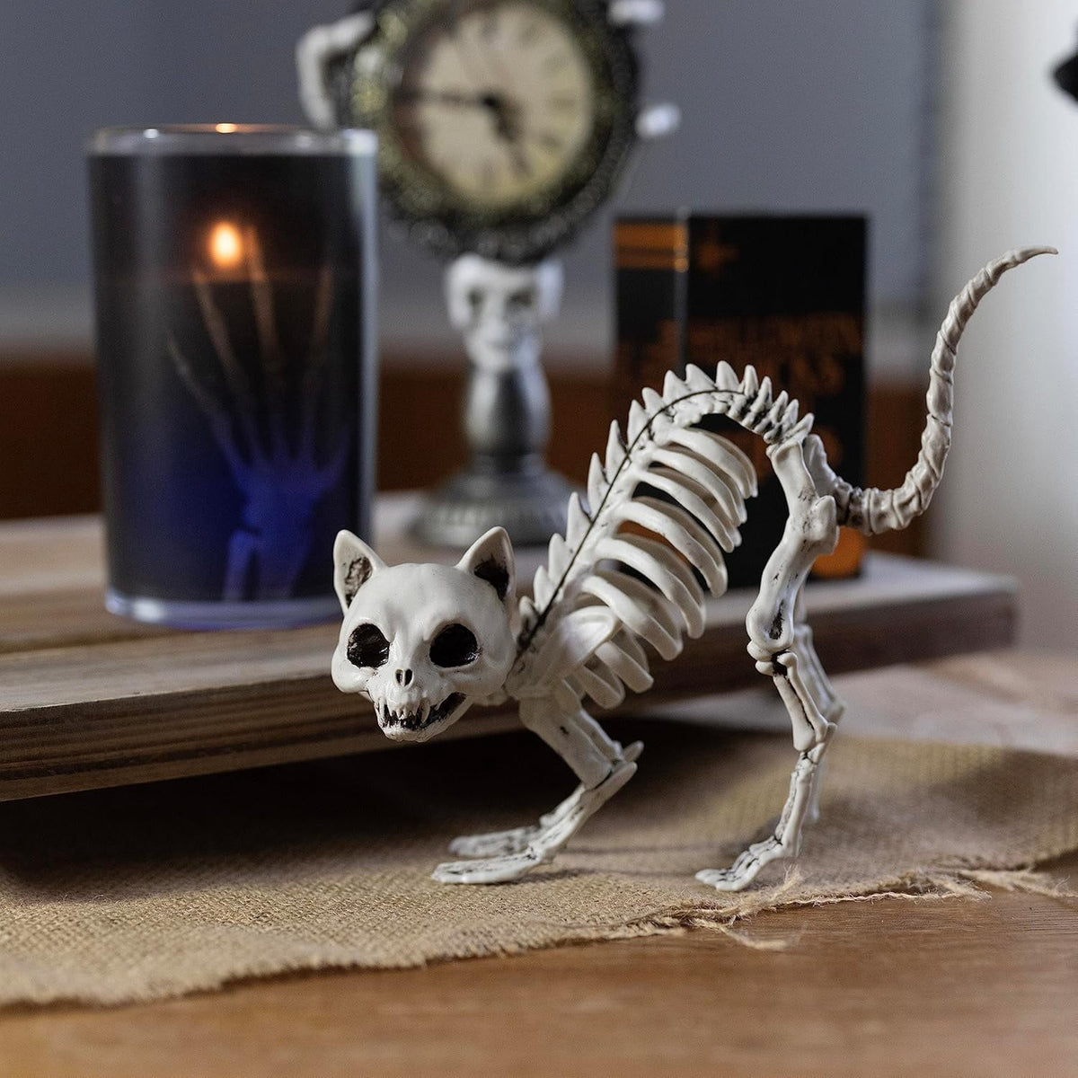Kitten Skeleton Halloween Decoration (3Pk) 7.5" Long-Weather Resistant- Upgrade Your Graveyard Haunted House Party Props, School Classroom - Kitty Cat