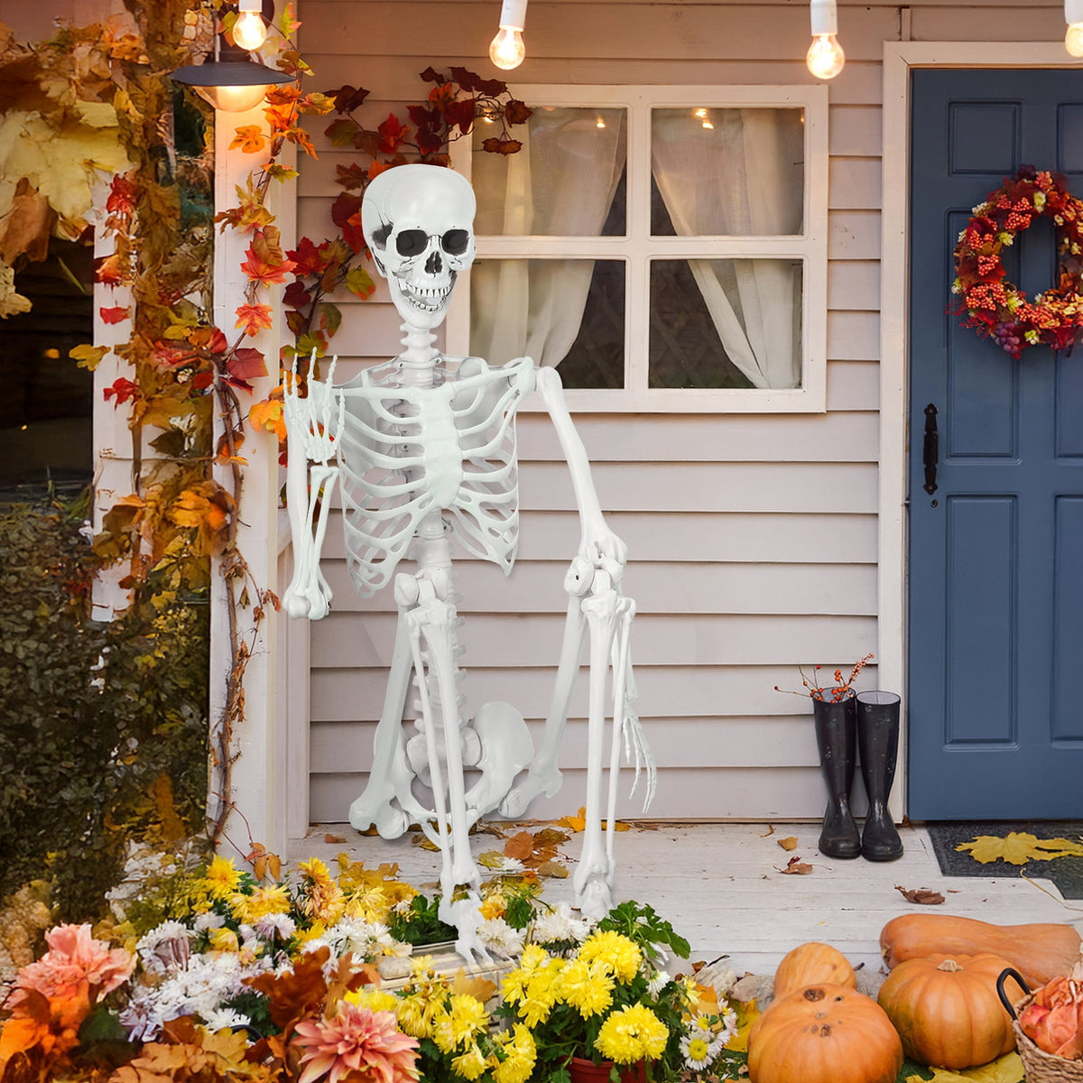 Cixusio 5.4Ft/165cm Halloween Skeleton Full Body Life Size Human Bones with Movable Joints for Indoor Outdoor Haunted House Party Halloween Props Decorations