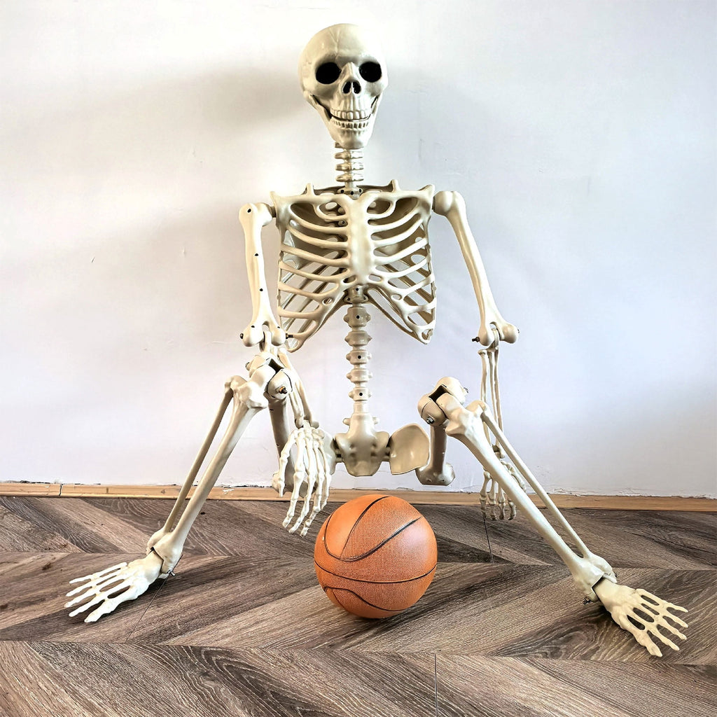Poseable Halloween Skeleton with Flexible Joints, Sturdy Indoor/Outdoor Party Decor