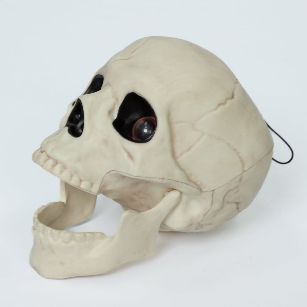 Seasons 5.8" Skull Skeleton Halloween Decoration Crazy Bonez Skeleton Line Sound and Light
