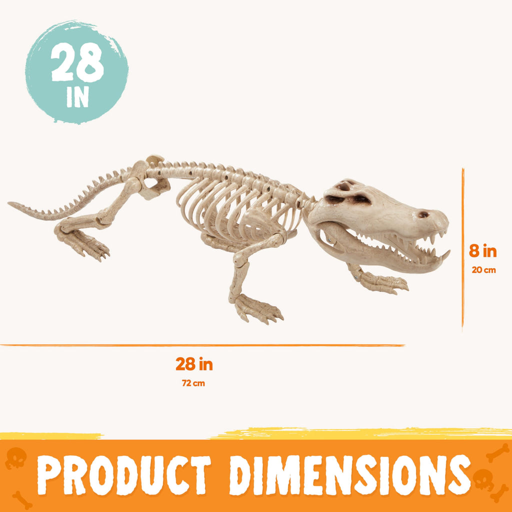 Joyfy 28" Crocodiles Skeleton Halloween Decorations with Posable Joints for Halloween Party Outdoor Indoor Decor