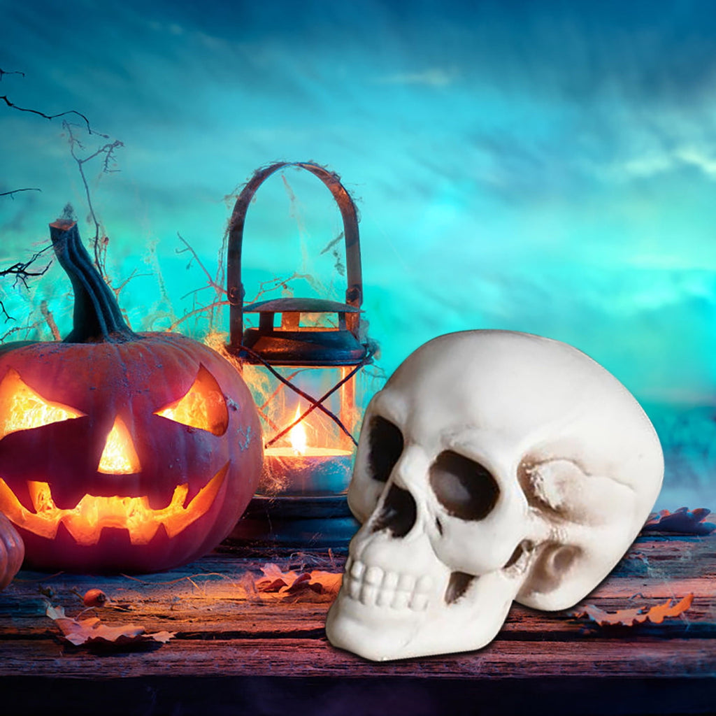 Darzheoy Halloween Skulls Halloween Skeletons Realistic Fake Simulation Human Skull Head Model Halloween Prop Realistic Mini Skeleton Spooky Halloween Decoration