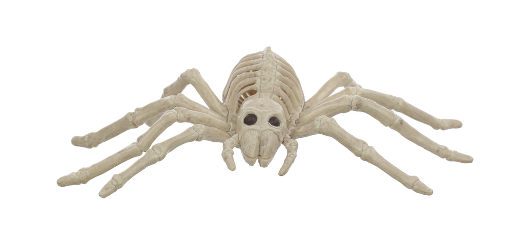 Official Crazybonez Faux Rat Skeleton