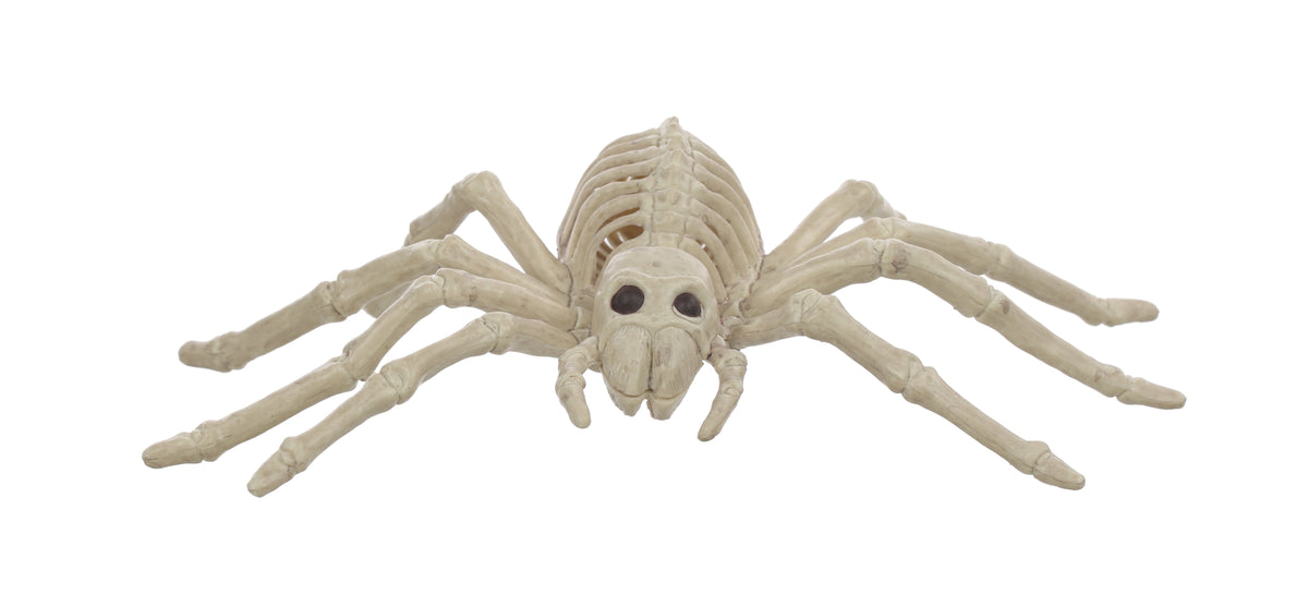 Official Crazybonez Faux Rat Skeleton