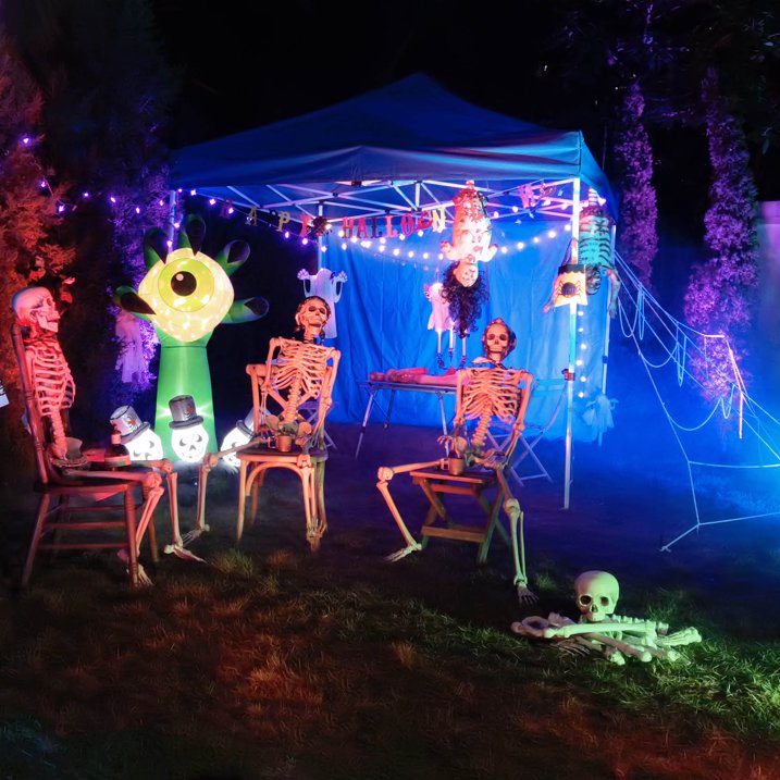 2025 Bag of Bones - 28 Pc Realistic Skeleton Bones & Skull Set for Halloween Decor (Lifesize Horror Props, DIY Party Scatter)