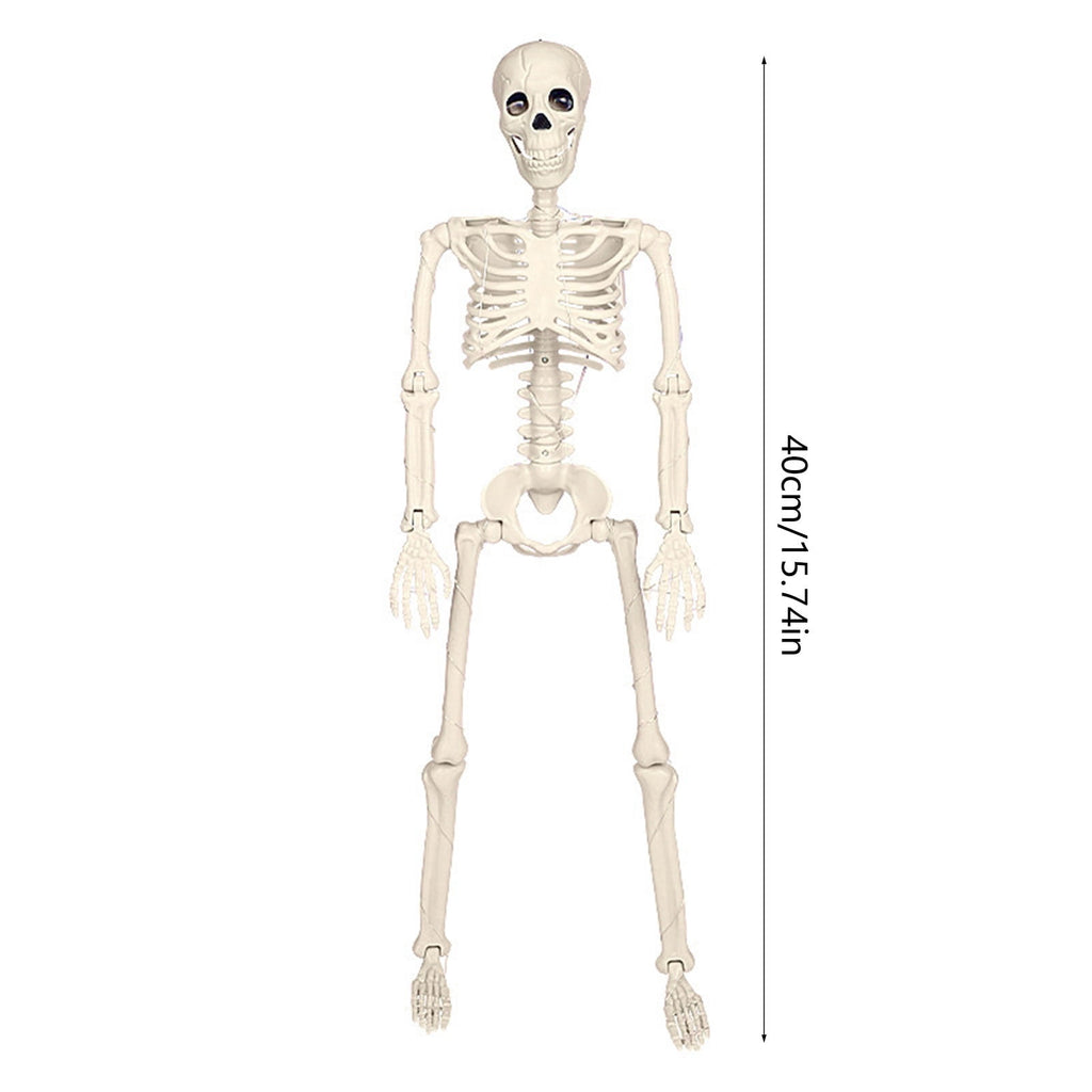 Fankiway Halloween Movable Skeleton Human Model Skull Full Body Mini Figure Toy , Decorations Skull Full Body Realistic Faux Human Skeleton Skull Decor