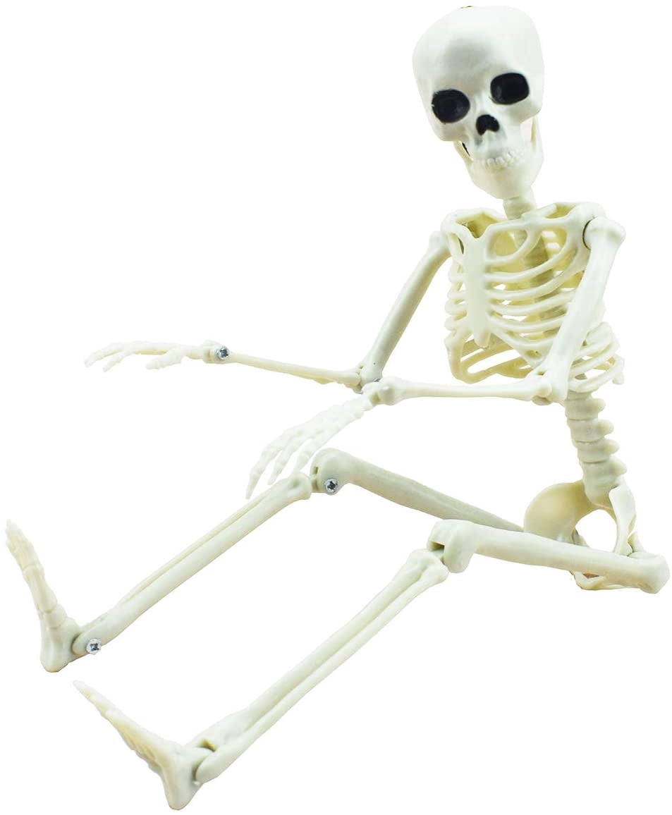 Happiwiz Skeleton Halloween Decor Adjustable Full Body White Plastic Decoration