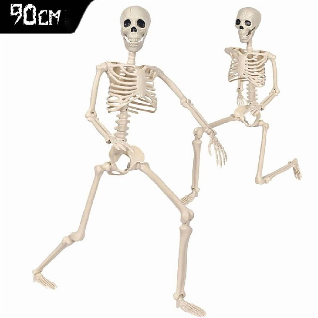 Tizuqe Poseable Halloween Skeleton with Movable Joints Realistic Full Body Bone Ornament Eerie Outdoor and Indoor Decoration