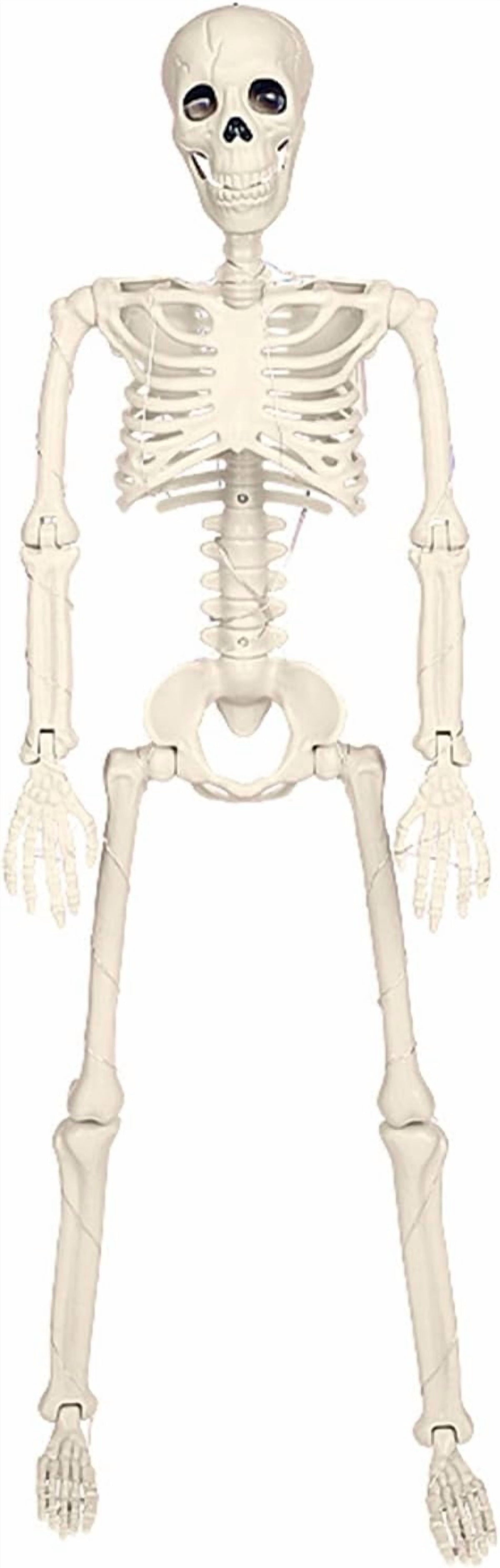 36" Full Body Skeleton Decoration,Halloween Posable Skeleton with Lights, Posable Joints Gothic Skeletons Decoration for Outdoor Indoor Yard Patio Haunted House,Light Up Spooky Party Props Decor