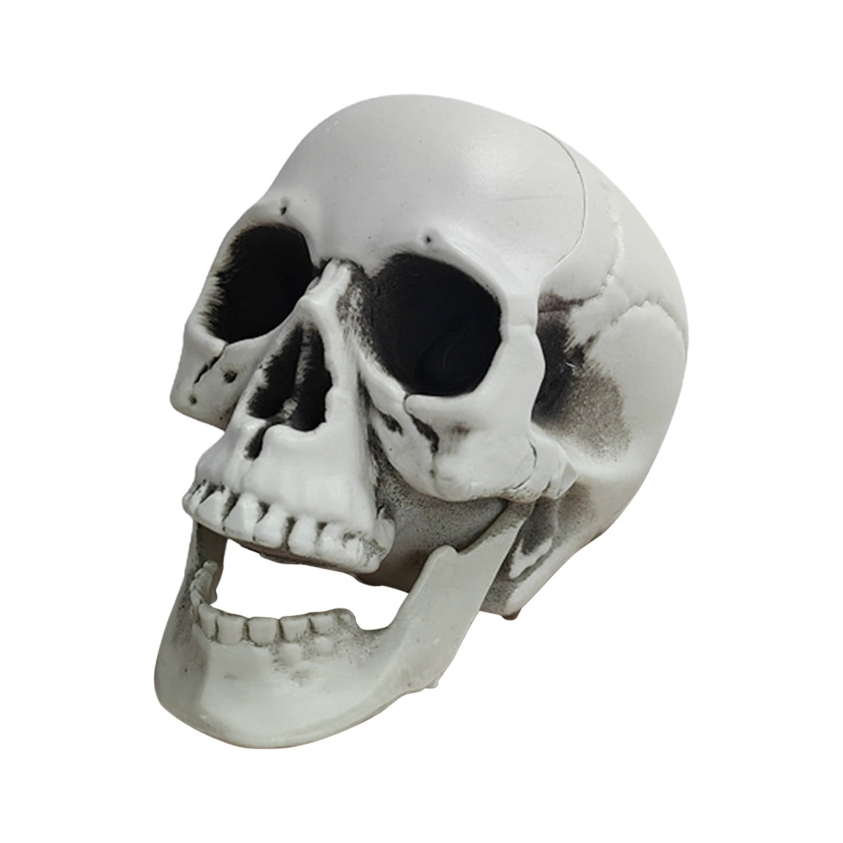 Darzheoy Halloween Skulls Halloween Skeletons Realistic Fake Simulation Human Skull Head Model Halloween Prop Realistic Mini Skeleton Spooky Halloween Decoration