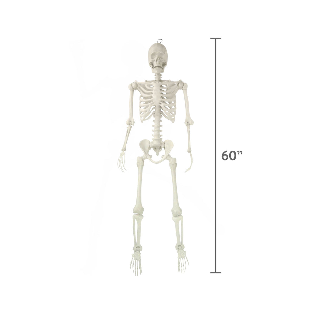 Hanging Posable Skeleton Decoration, White, 5', Halloween by Way To Celebrate