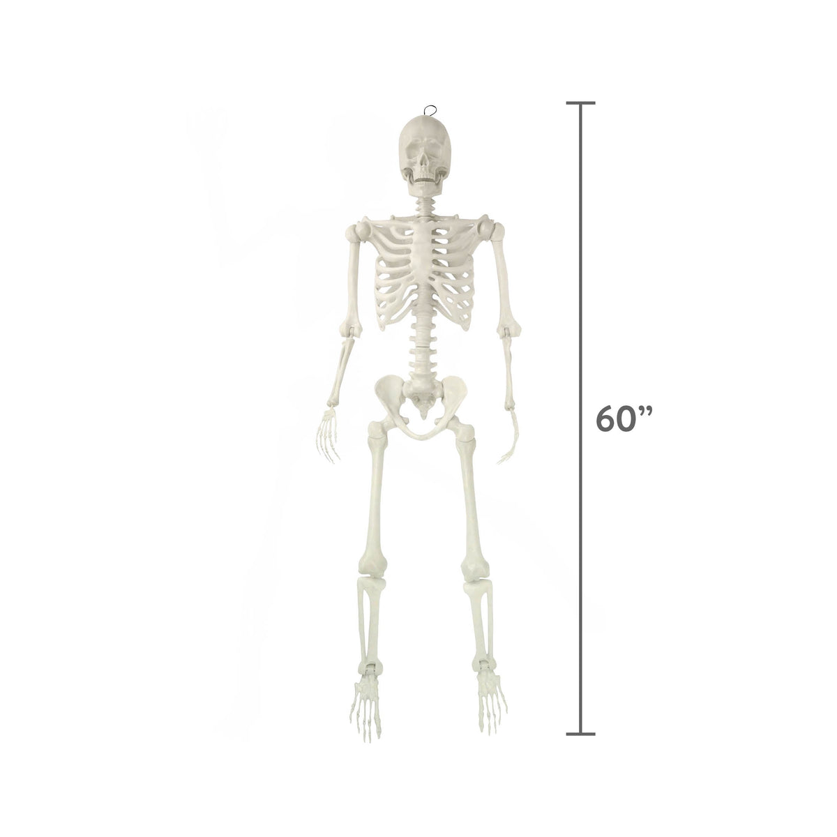 Hanging Posable Skeleton Decoration, White, 5', Halloween by Way To Celebrate