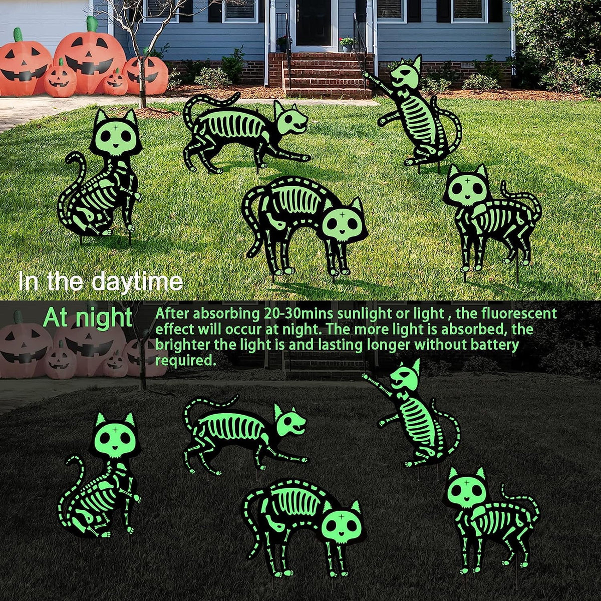 GuassLee 5pcs Glow in the Dark Skeleton Black Cat Silhouette Lawn Signs with Stakes for Halloween Lawn Garden Front Yard Decorations Outside