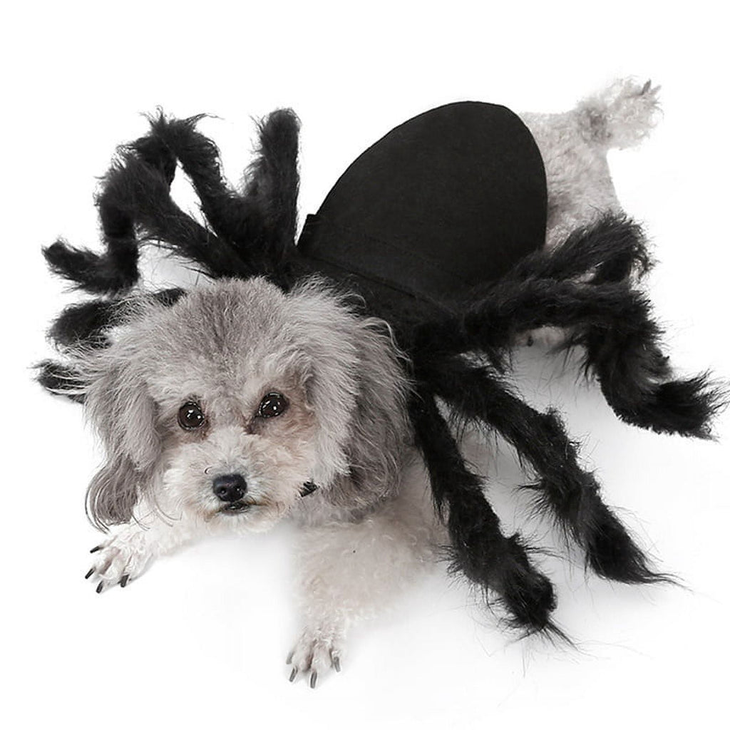 Halloween Spider Decorations Realistic Hairy Spiders Spider Props for Indoor, Outdoor and Yard Creepy Decor 75CM (30 Inch)