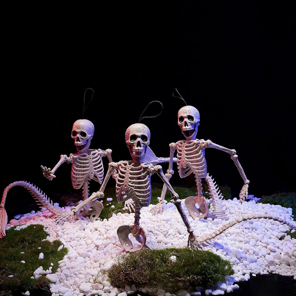 Joyfy 2 Pcs 24 Inch Halloween Skeleton Decor,2 FT Posable Skeleton Halloween Prop for Haunted House Indoor Outdoor Decoration Spooky Decor,Full Body with Movable Joints for Halloween Decoration